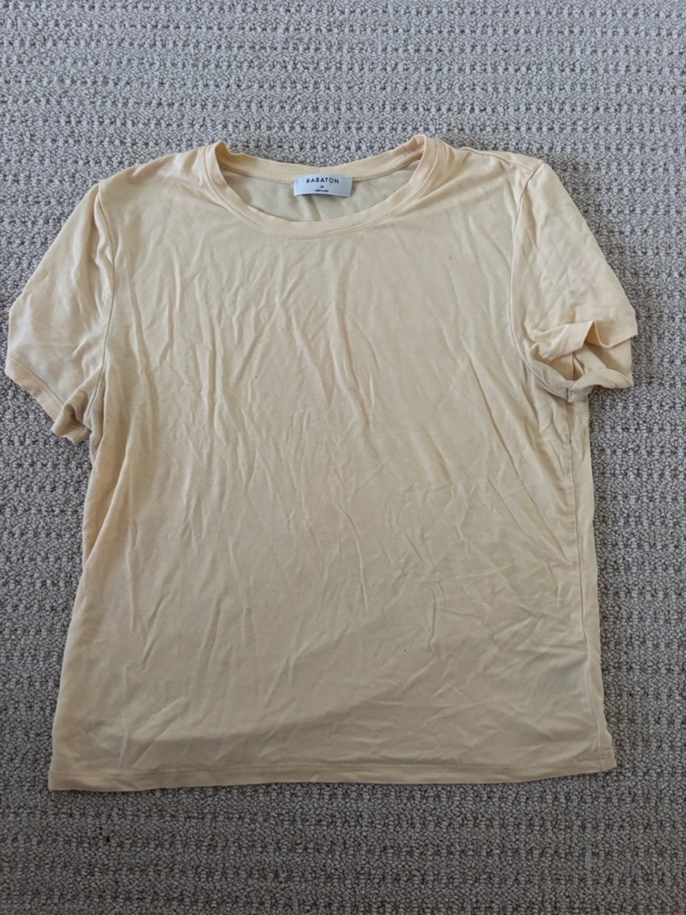 Babaton (Aritzia) Tee